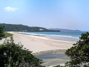 �T�[�t�B���X�N�[�����{�f�B�{�[�h�X�N�[��